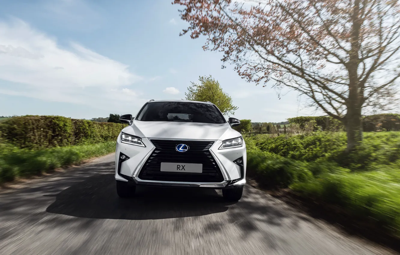 Photo wallpaper front view, 2018, Sport, crossover, 450h, Lexus RX
