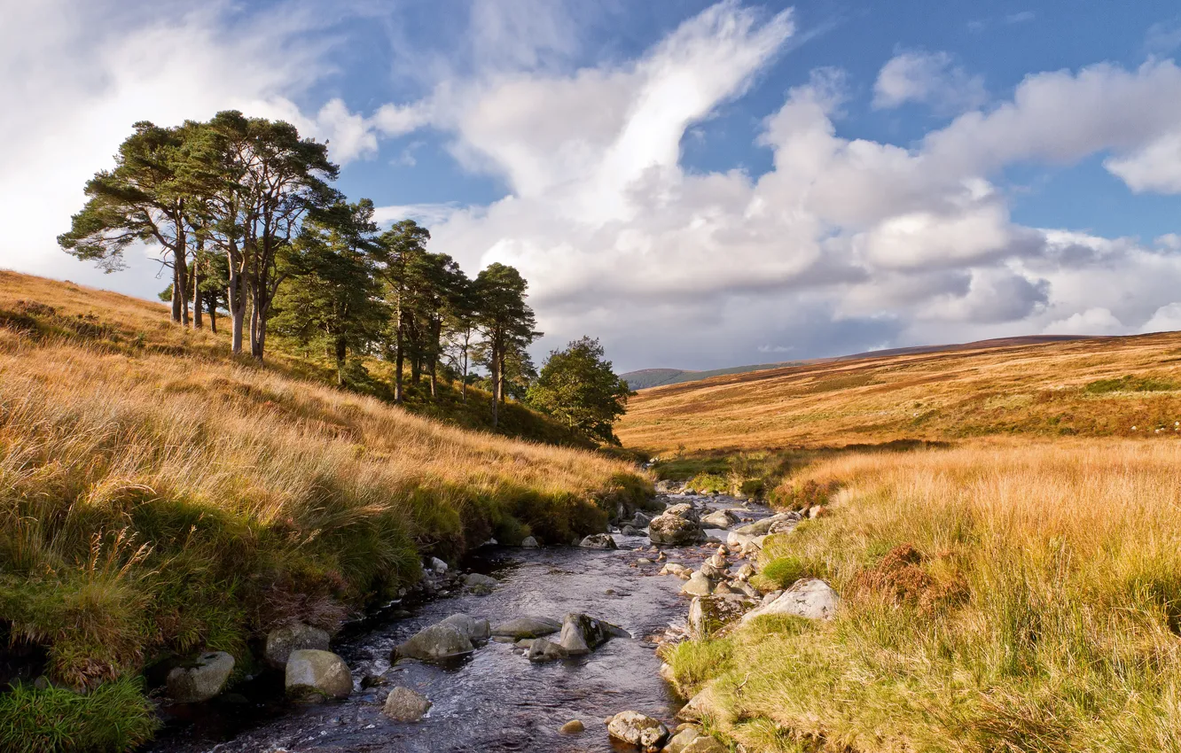Photo wallpaper the sky, grass, clouds, trees, river, stream, hills