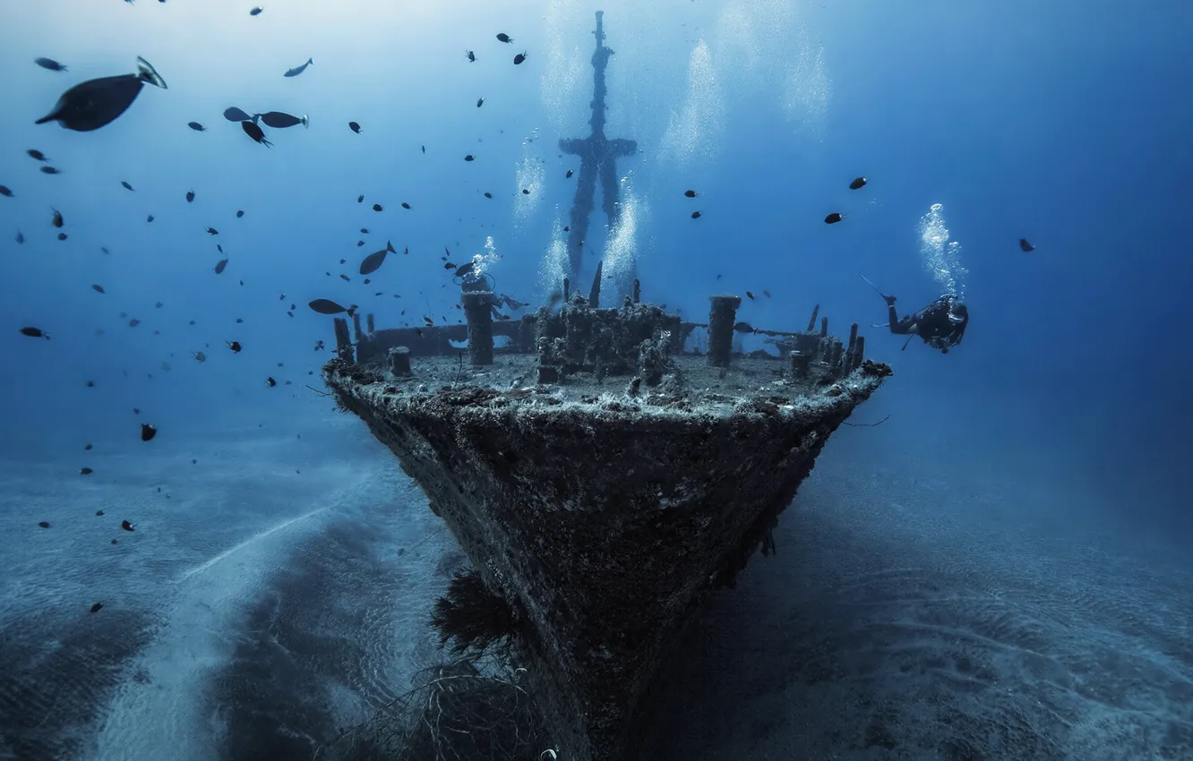Photo wallpaper the ocean, ship, the bottom, fish, sunken, diver