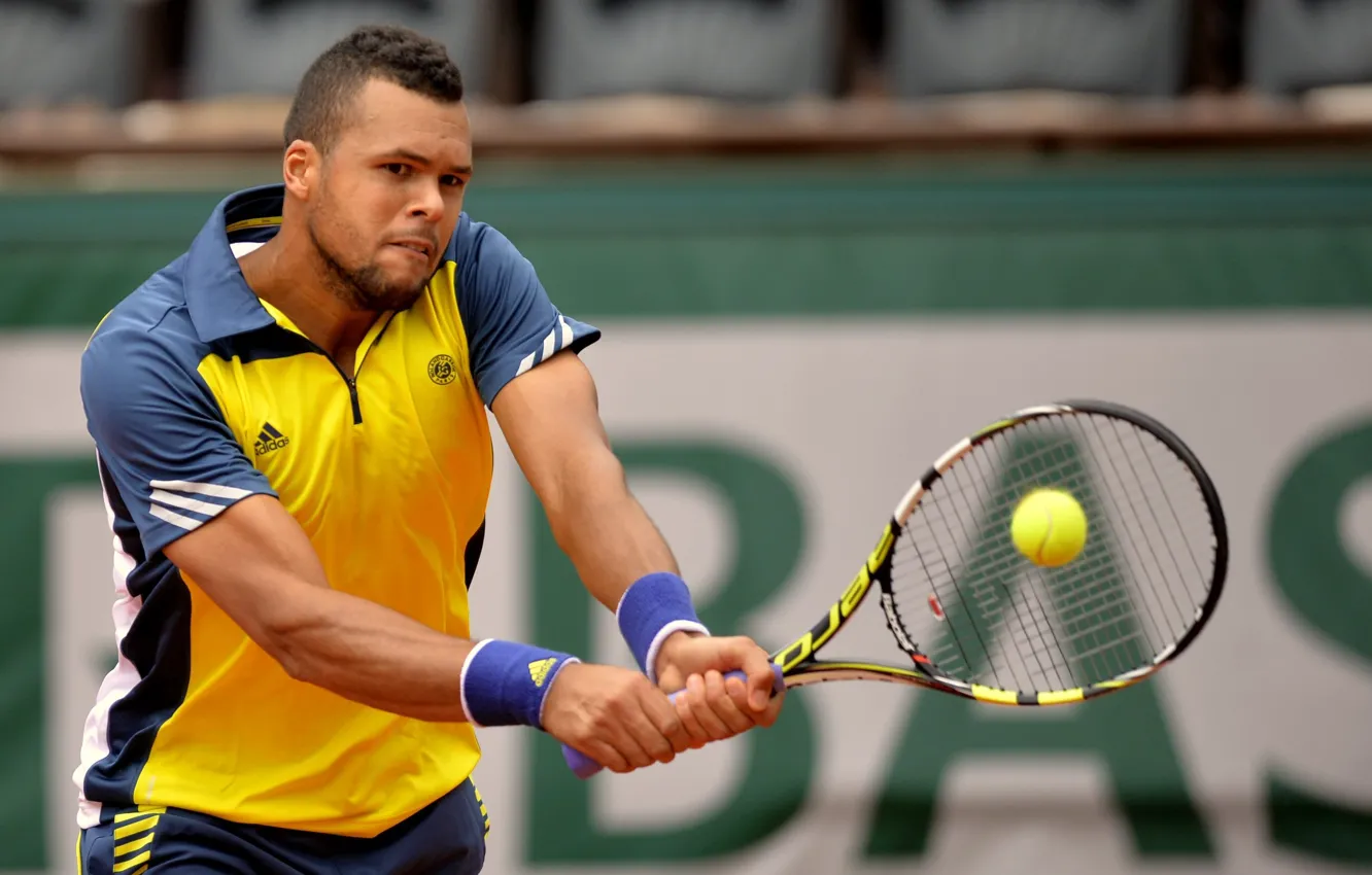 Photo wallpaper the ball, racket, Tennis, Wilfried, Quote