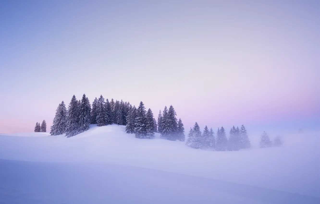Photo wallpaper winter, snow, trees, fog, dawn, morning, Switzerland, ate