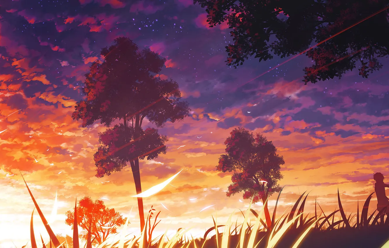 Photo wallpaper the sky, grass, stars, clouds, trees, petals, silhouette, sunlight