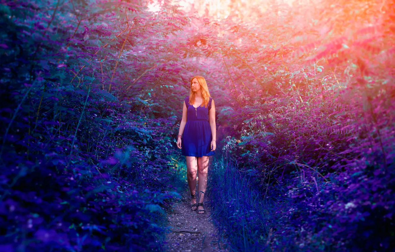 Photo wallpaper color, girl, trail, dress