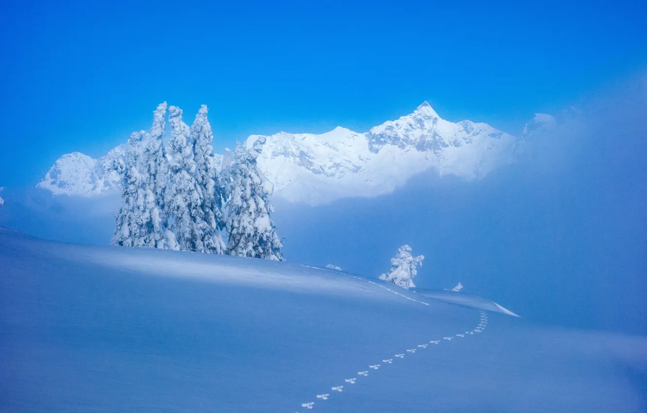 Photo wallpaper winter, snow, trees, mountains, traces, Austria, the snow, Austria