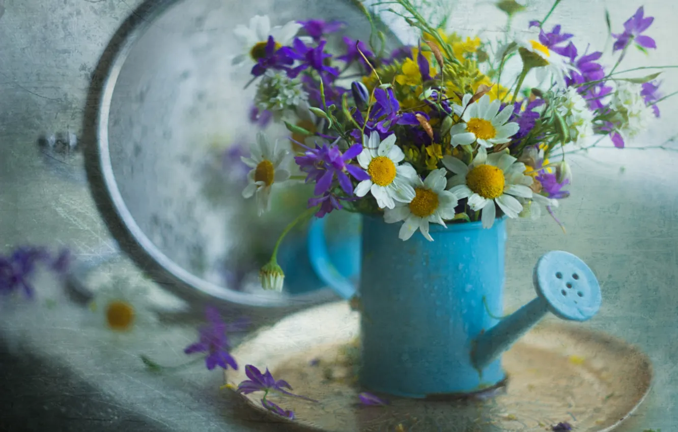 Photo wallpaper chamomile, lake, a bunch, wildflowers