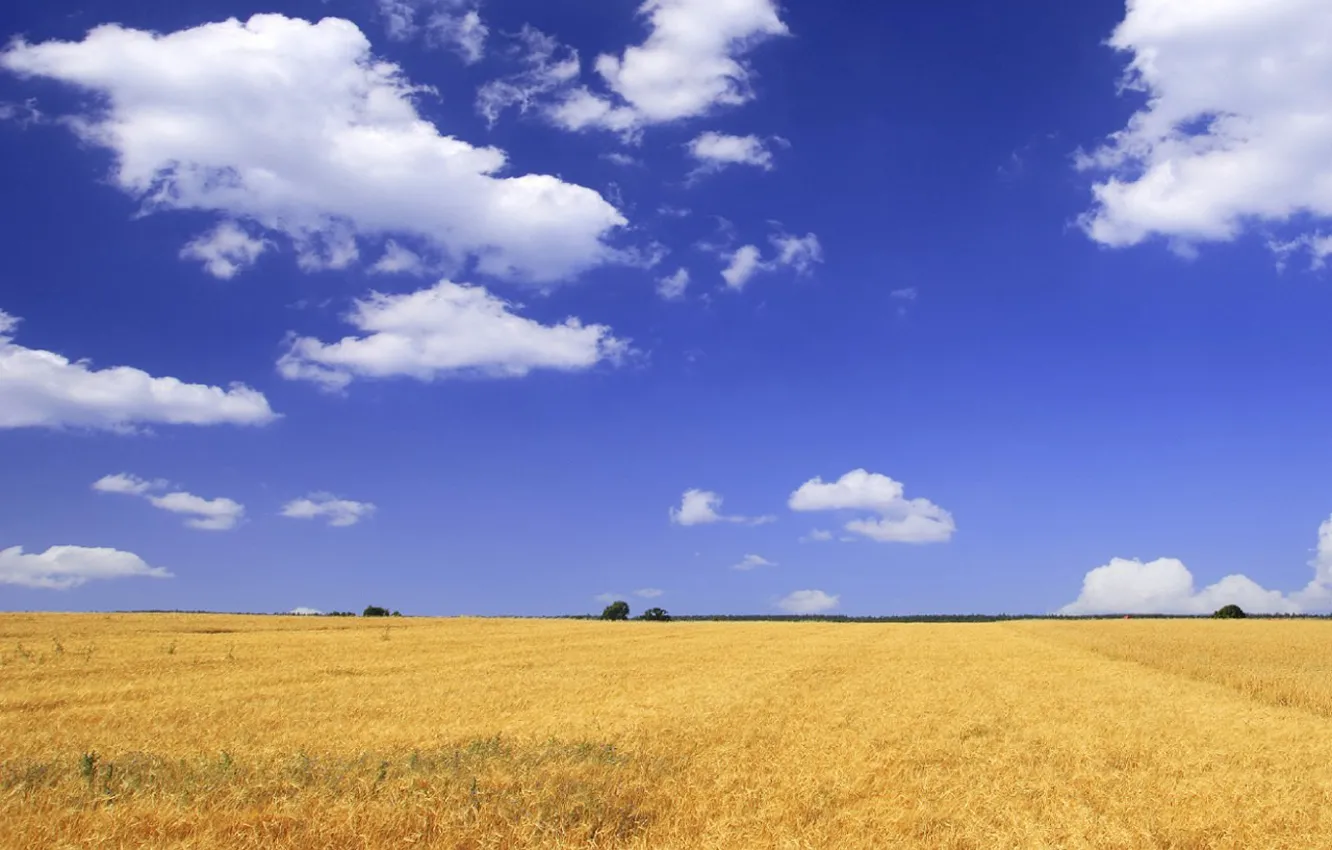 Photo wallpaper field, the sky, clouds