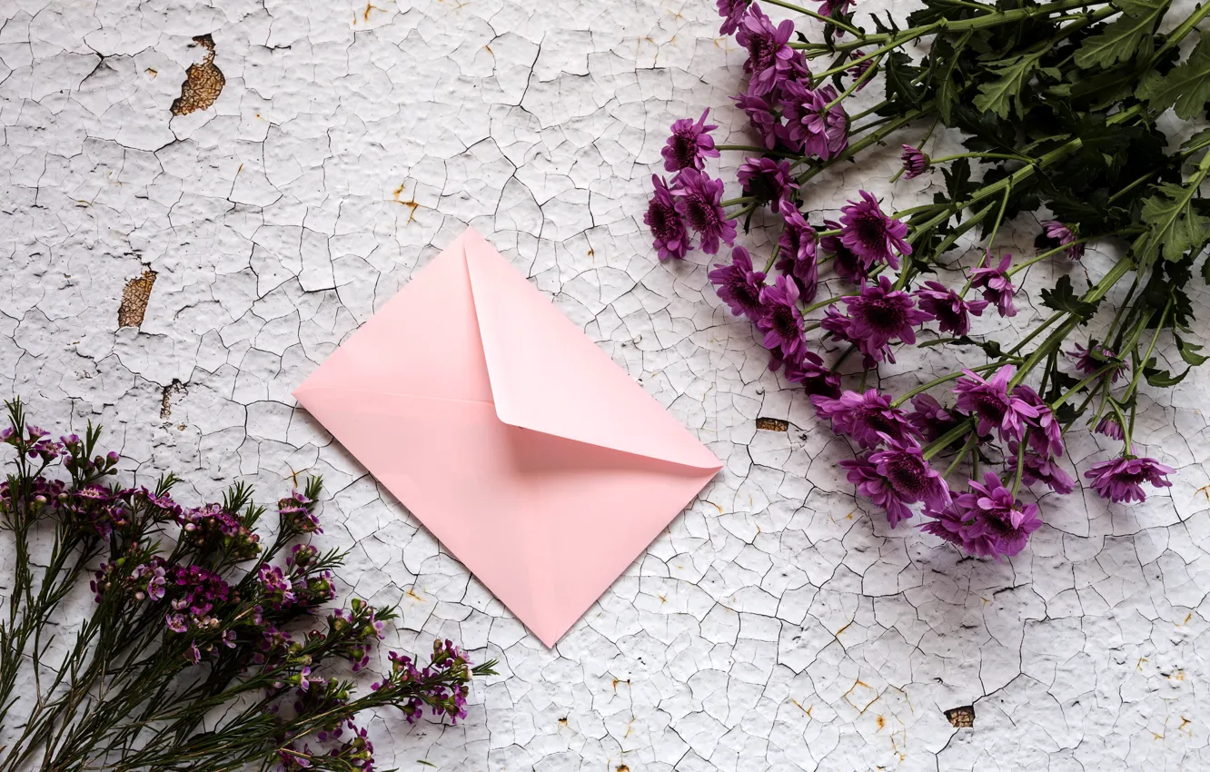 Photo wallpaper flowers, bouquet, chrysanthemum, wood, flowers, purple