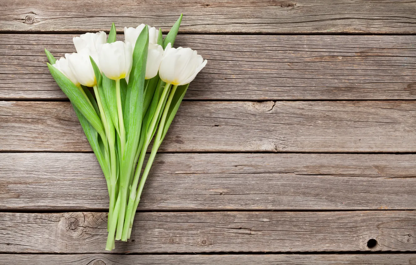 Photo wallpaper flowers, bouquet, tulips, white, wood, flowers, tulips, spring
