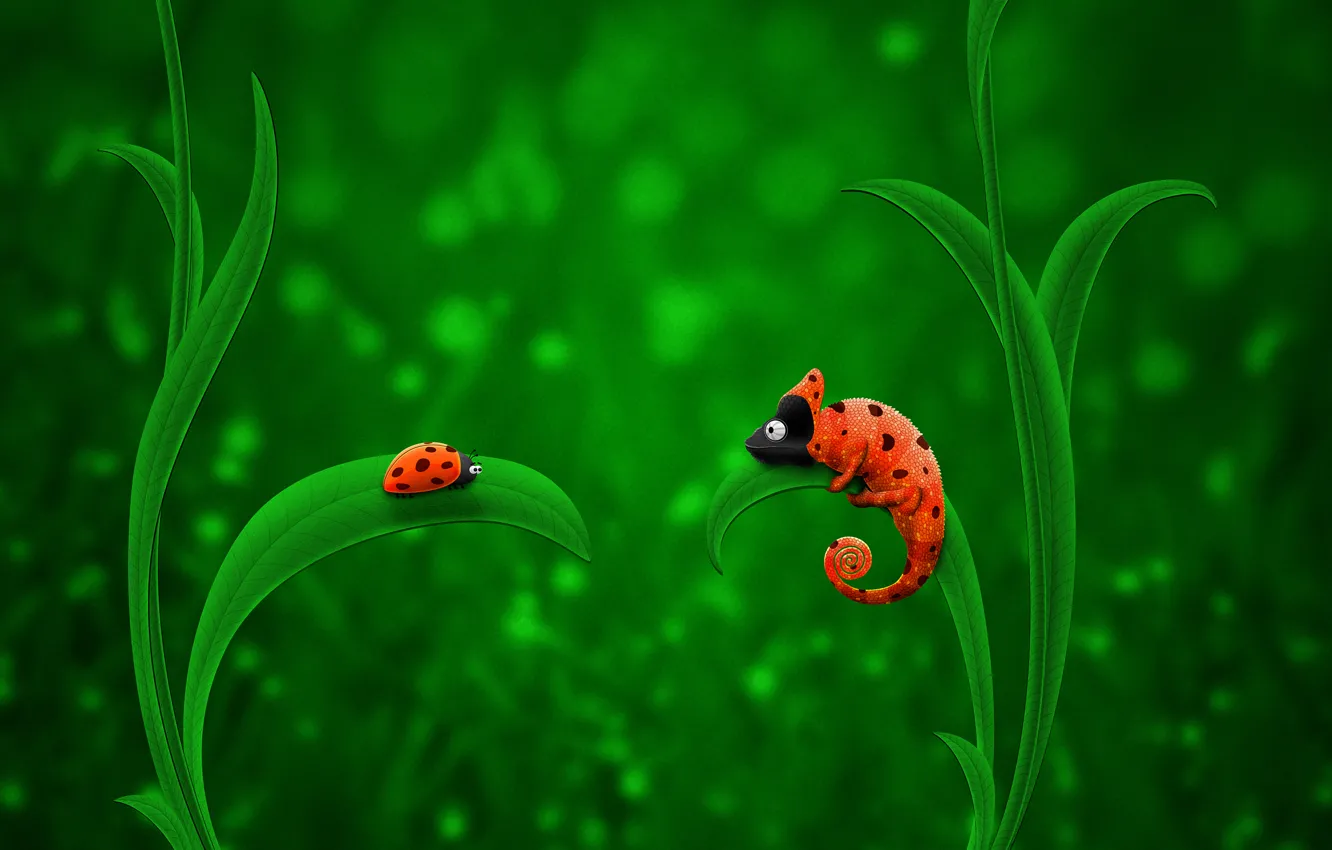 Photo wallpaper orange, green, chameleon, ladybug