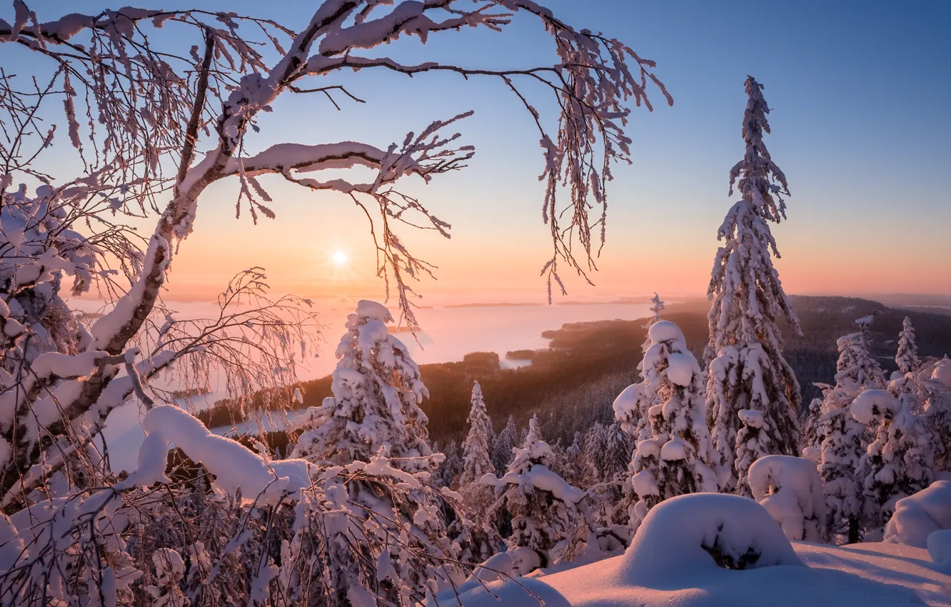 Photo wallpaper winter, snow, landscape, nature, beauty, Finland