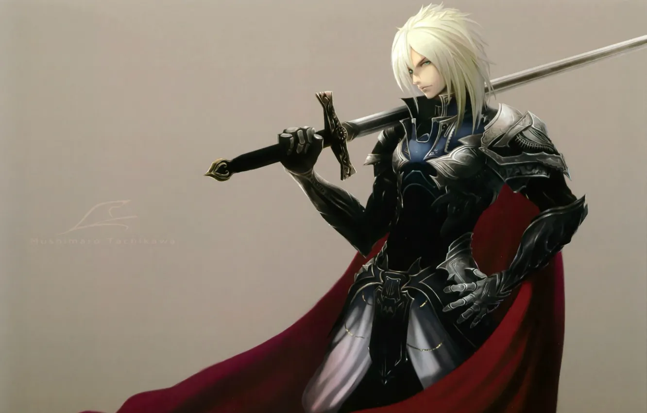 Photo wallpaper sword, armor, knight, cloak, grey background, art, mushimaro tachikawa