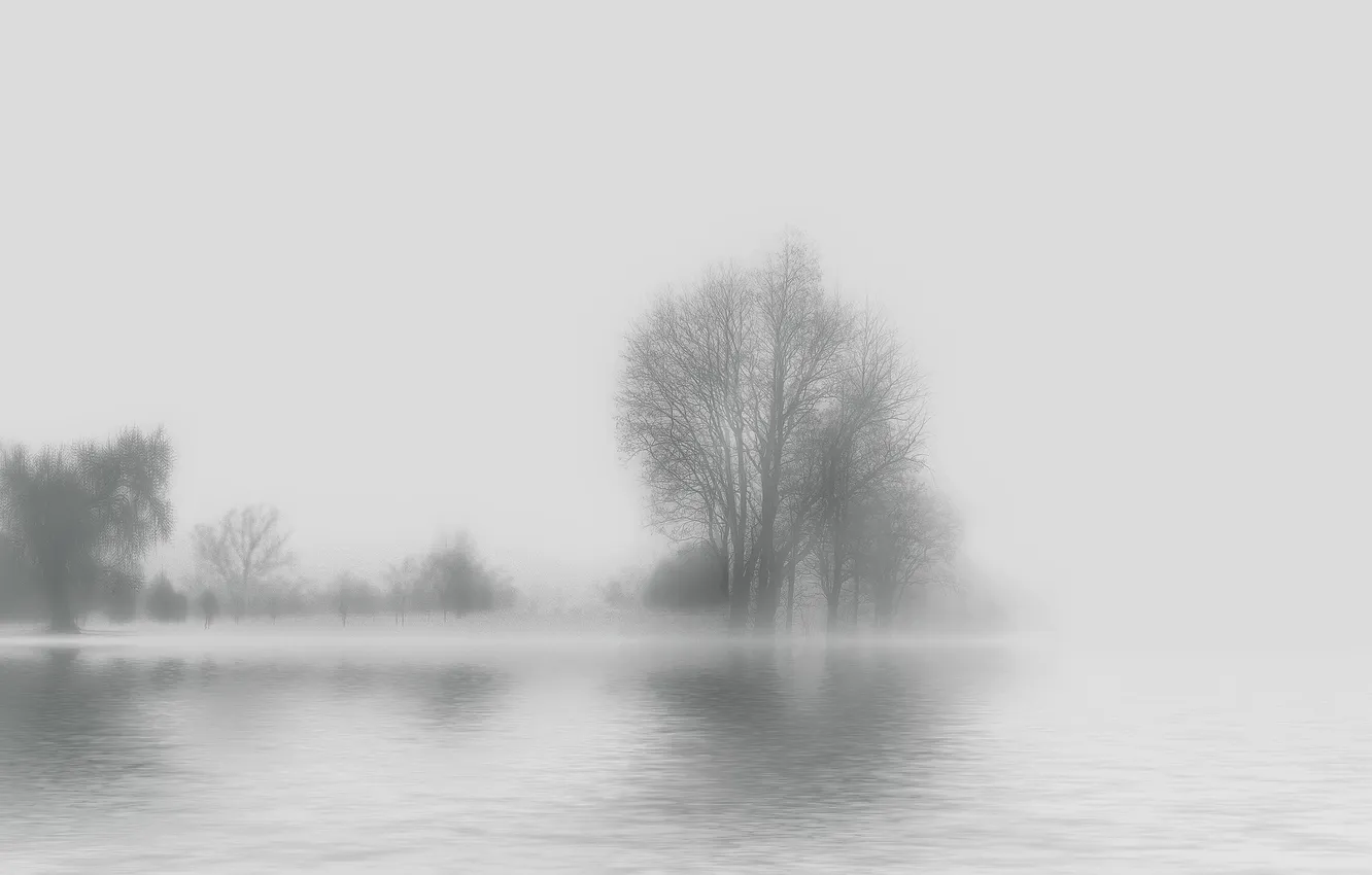 Photo wallpaper water, trees, fog, background, silhouette