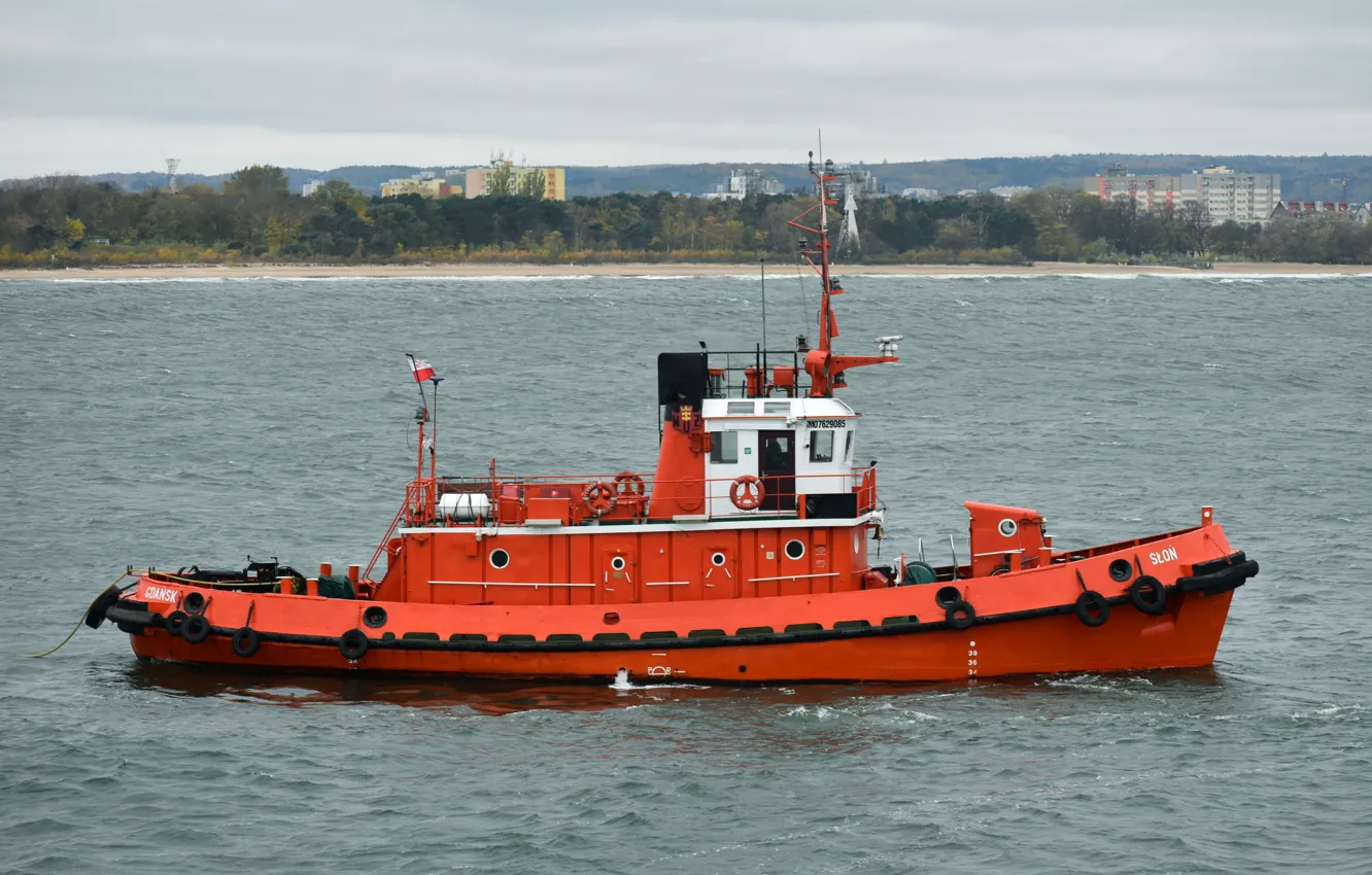 Photo wallpaper elephant, tug, Baltika