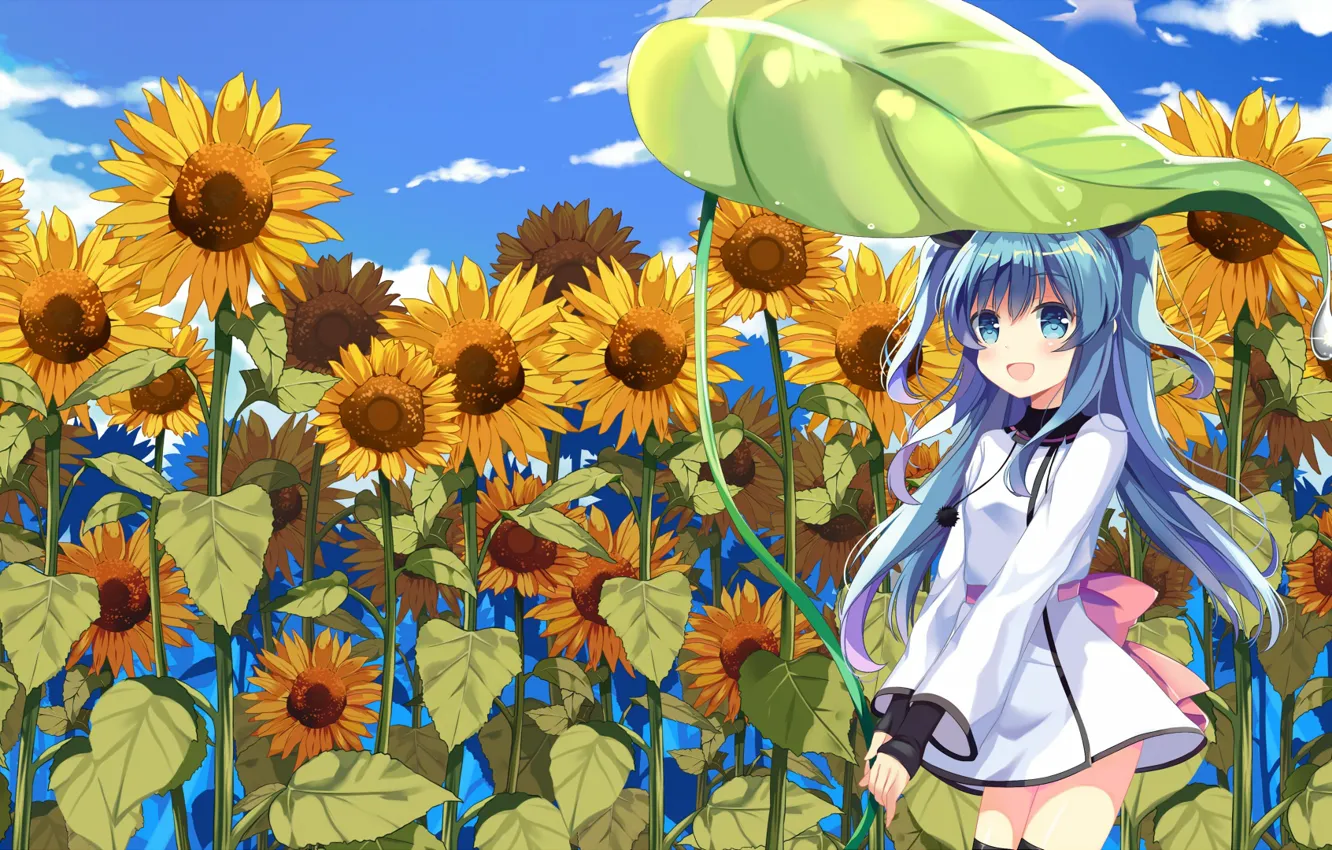 Photo wallpaper field, sunflowers, anime, art, girl