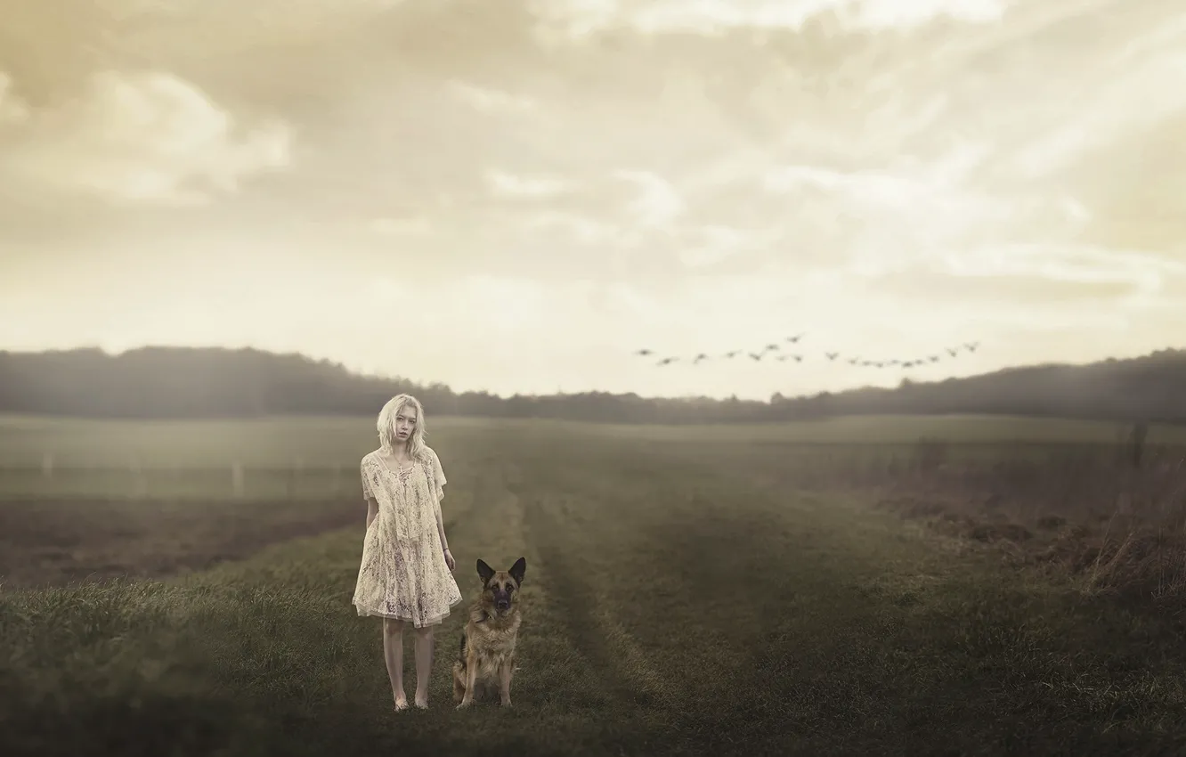 Photo wallpaper field, girl, mood, dog, the evening