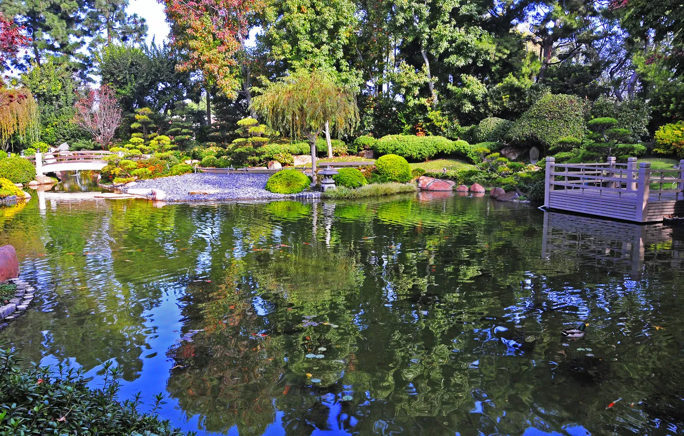 Photo wallpaper trees, bridge, pond, garden, CA, USA, the bushes, Earl Burns Miller Japanese Garden