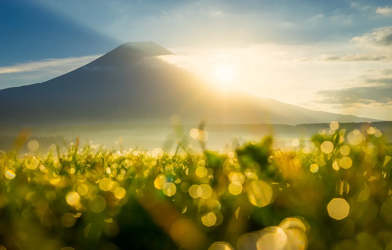 Photo wallpaper the sky, grass, the sun, clouds, rays, light, mountains, Rosa