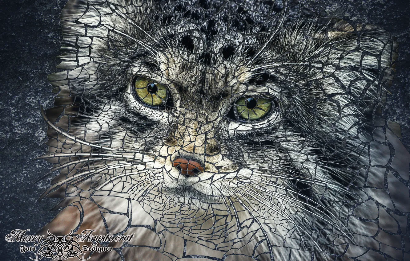 Photo wallpaper cat, mosaic, manul, wild