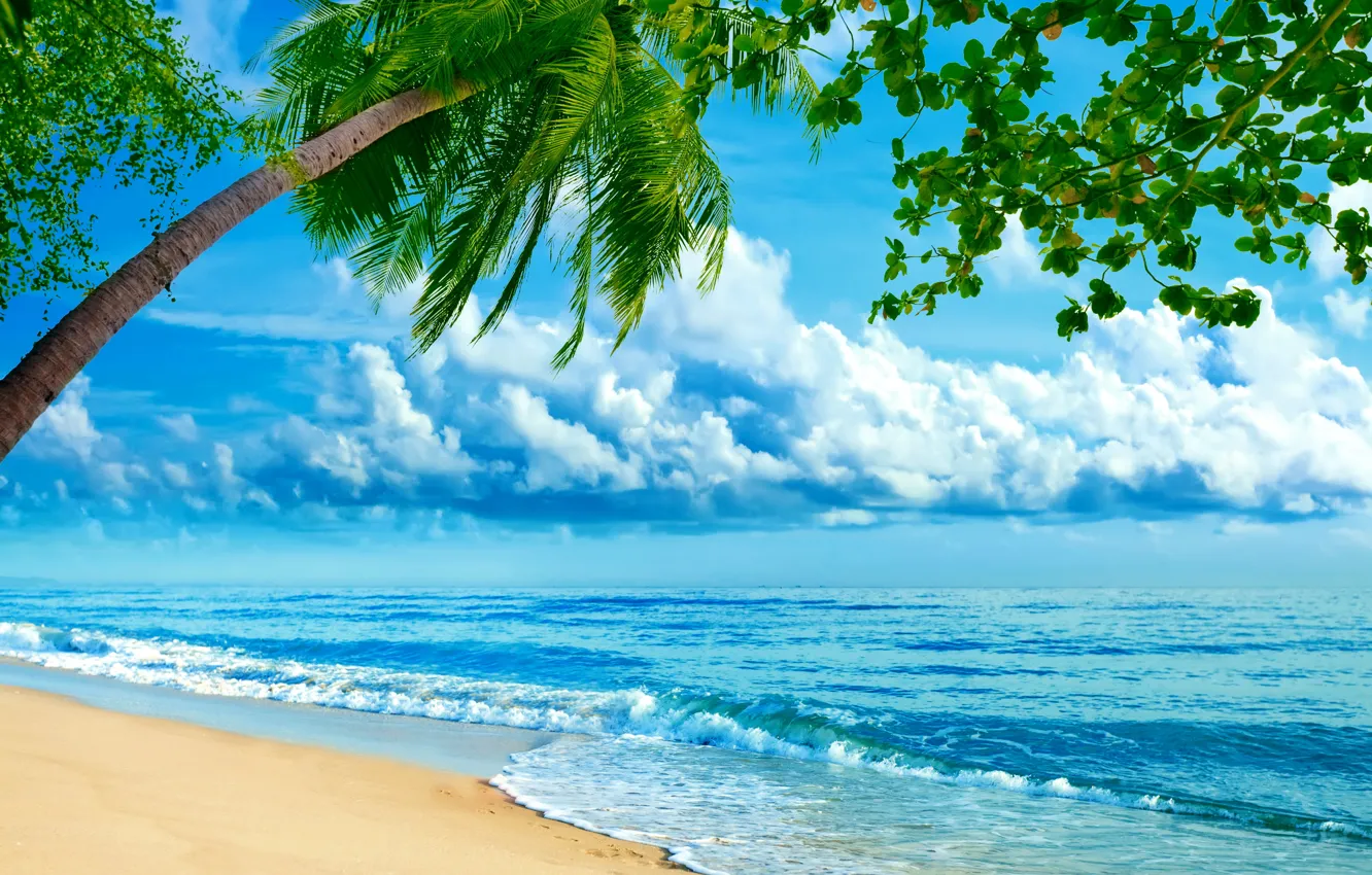 Photo wallpaper sand, sea, clouds, tropics, palm trees, shore, horizon
