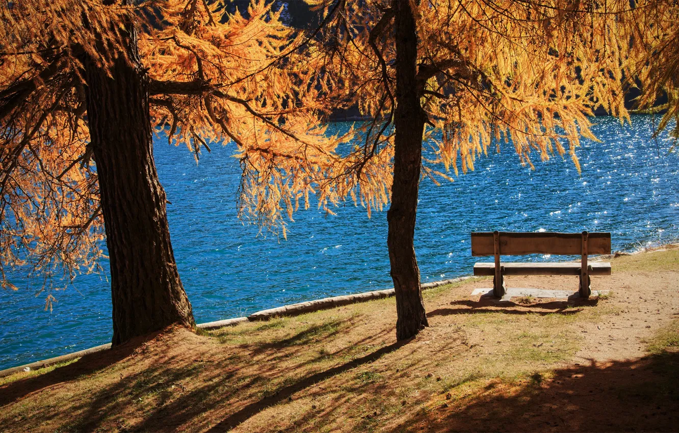 Photo wallpaper autumn, pond, Park, bench