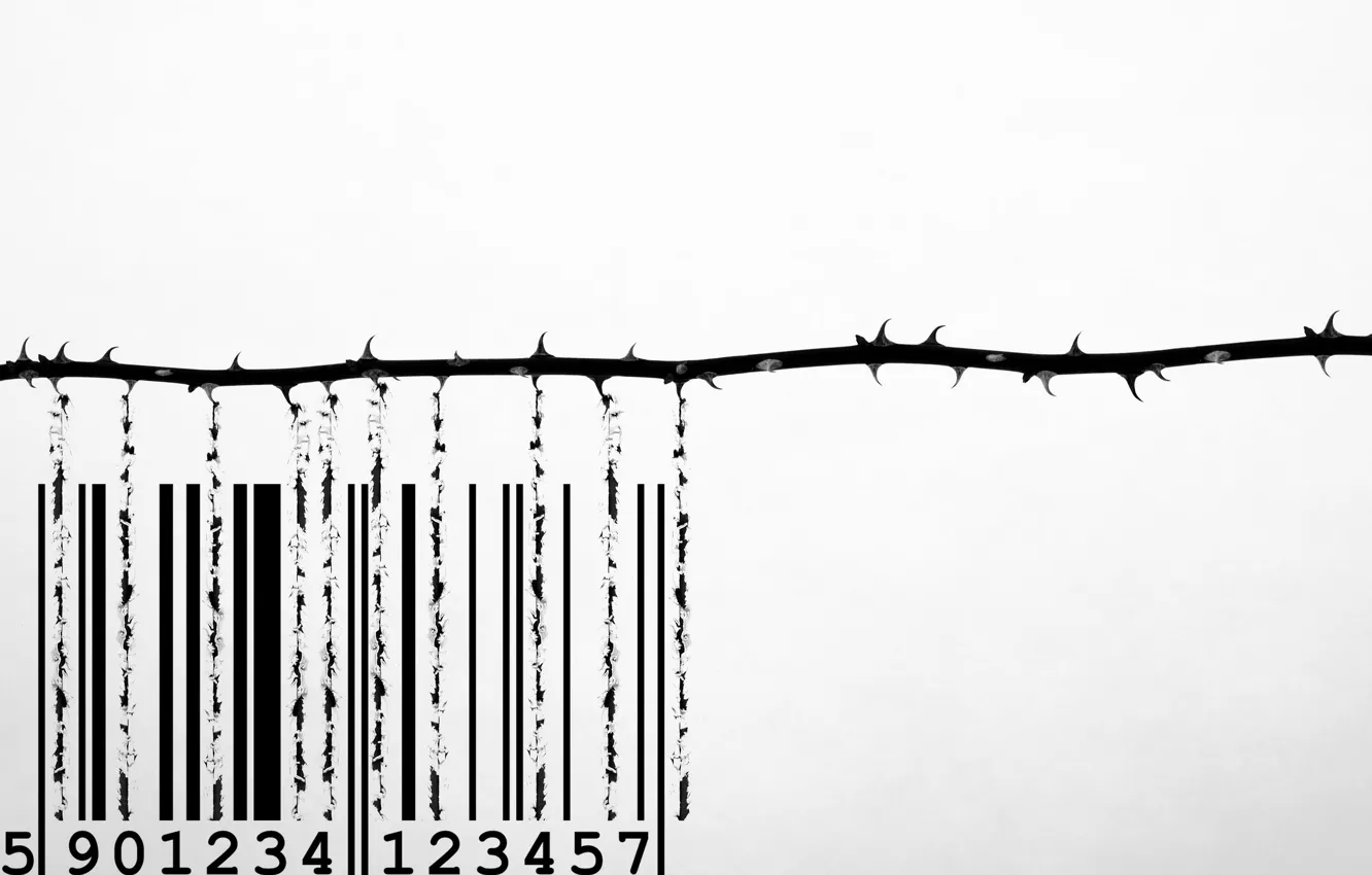 Photo wallpaper background, roses, barcode