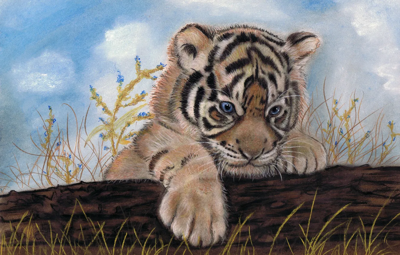 Photo wallpaper weed, tiger, colored pencils