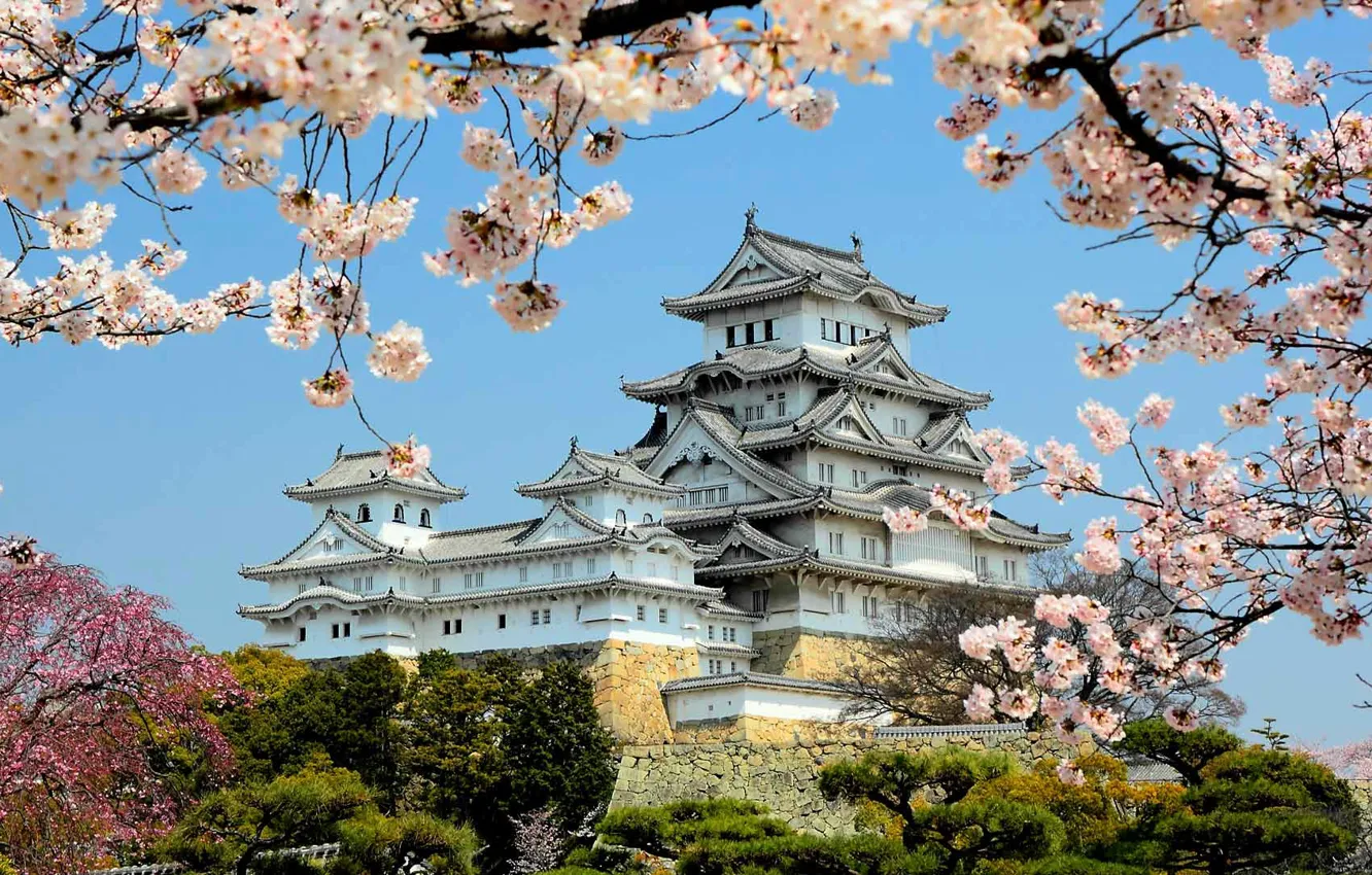 Photo wallpaper spring, Japan, flowering, Himeji Castle