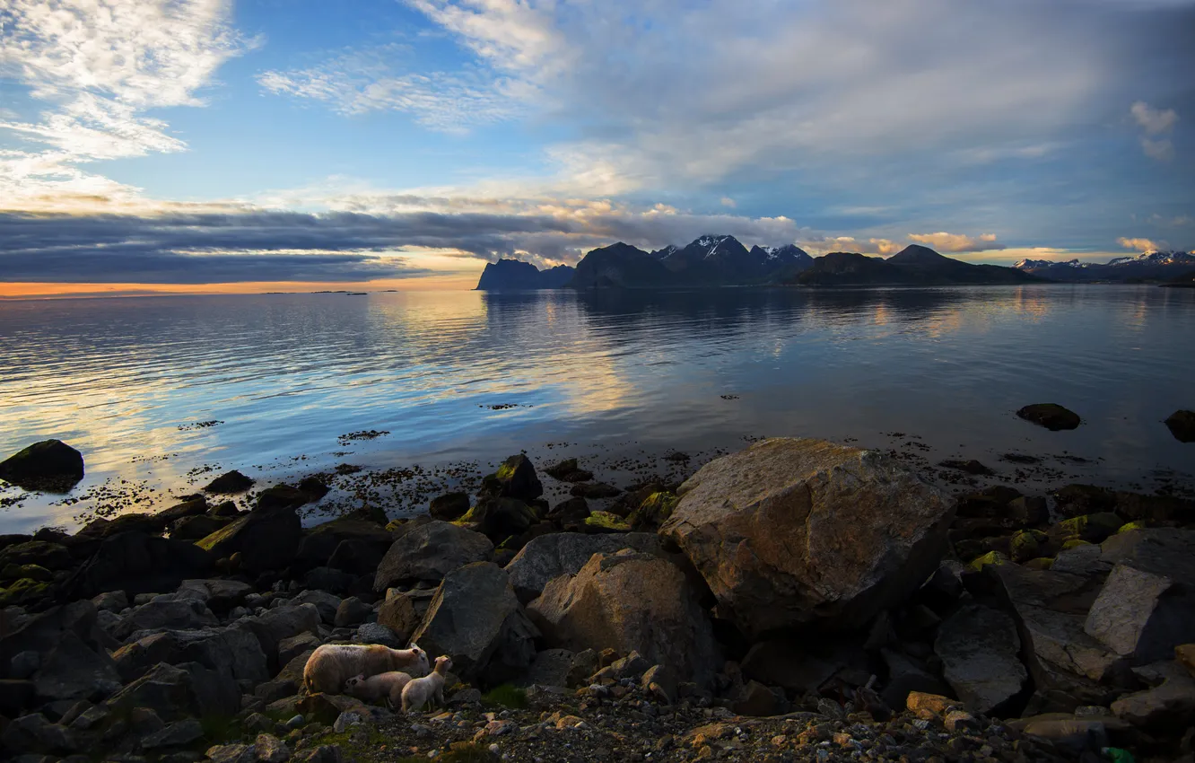 Photo wallpaper stones, midnight, June, midnight, June