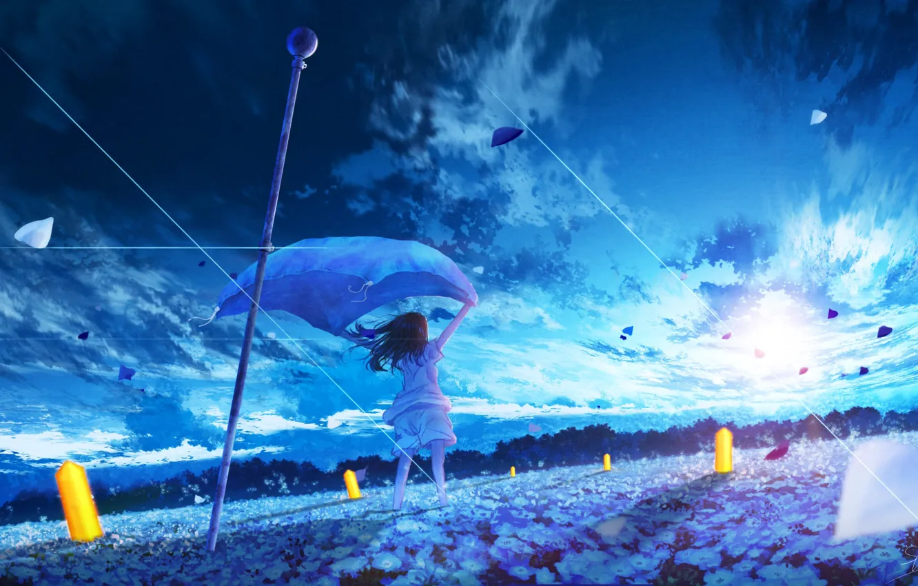 Photo wallpaper the sky, girl, flowers, the wind, dawn
