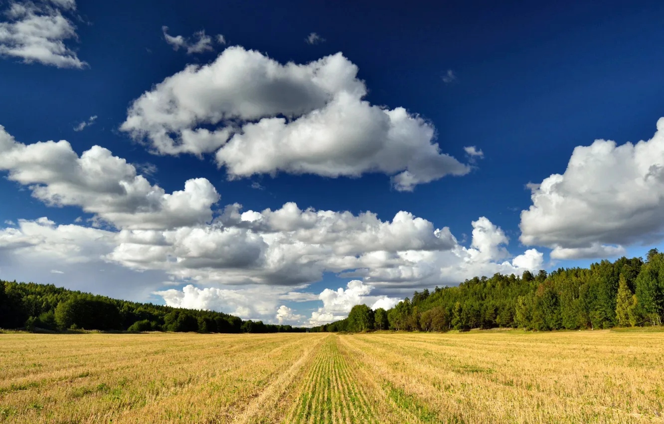Photo wallpaper sky, field, nature, clouds