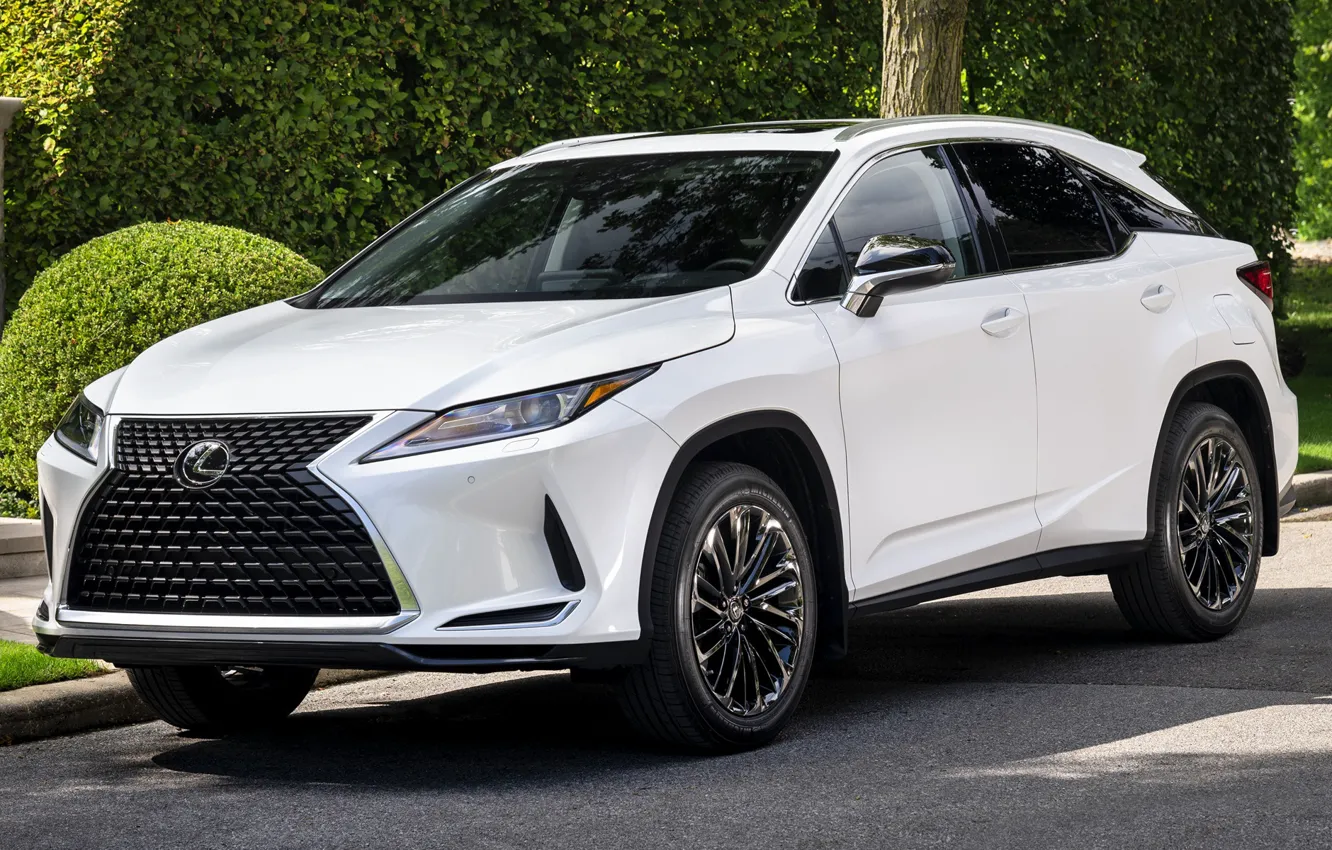 Photo wallpaper USA, crossover, exterior, Lexus RX, Lexus RX Moonlight Edition