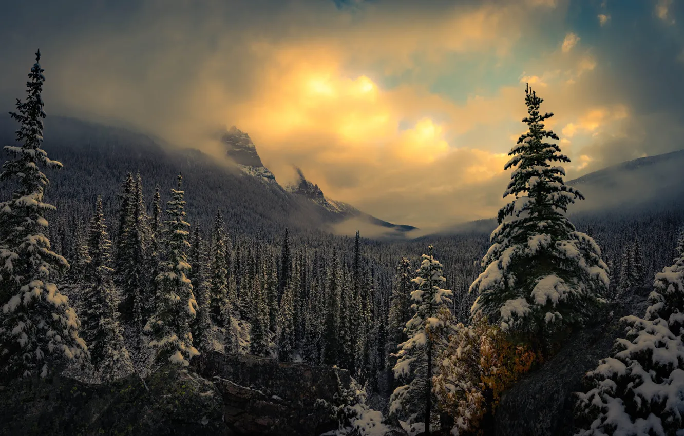 Photo wallpaper winter, forest, the sky, clouds, mountains, fog, stones, view