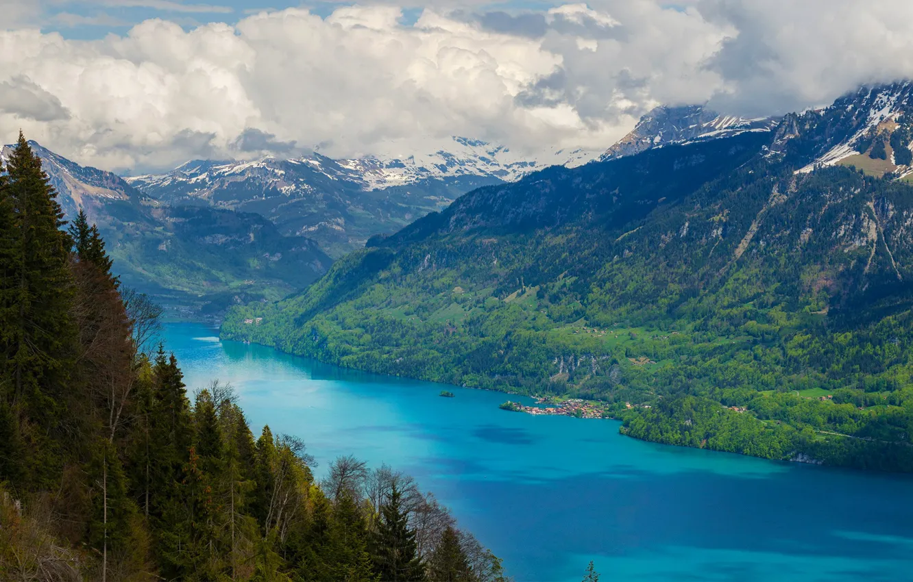 Photo wallpaper forest, the sky, clouds, snow, trees, mountains, lake, home