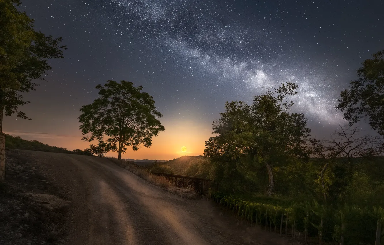 Photo wallpaper the sky, trees, night, the milky way, Ole Henrik Skjelstad