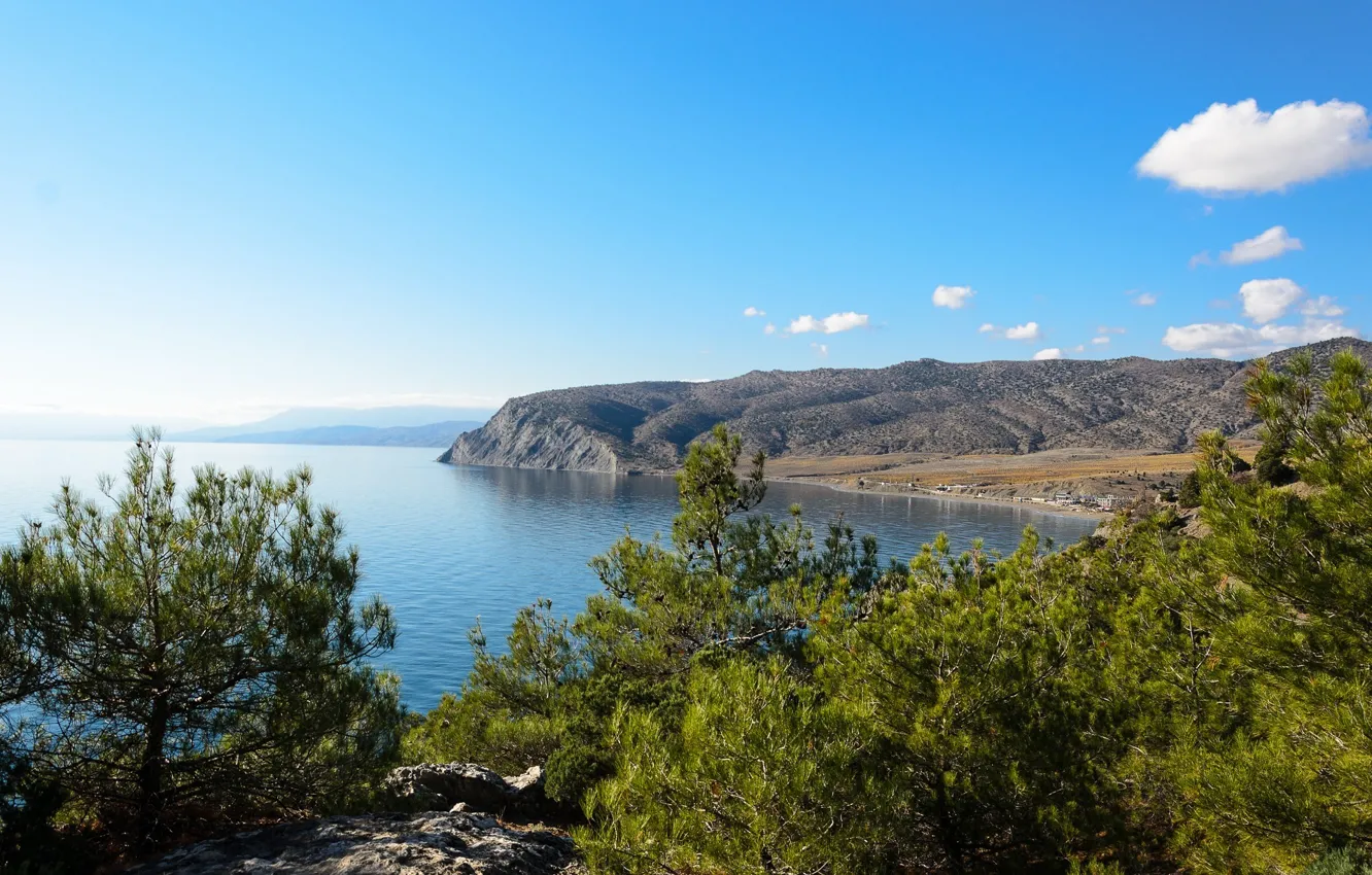 Photo wallpaper landscape, coast, Crimea, pine, The black sea