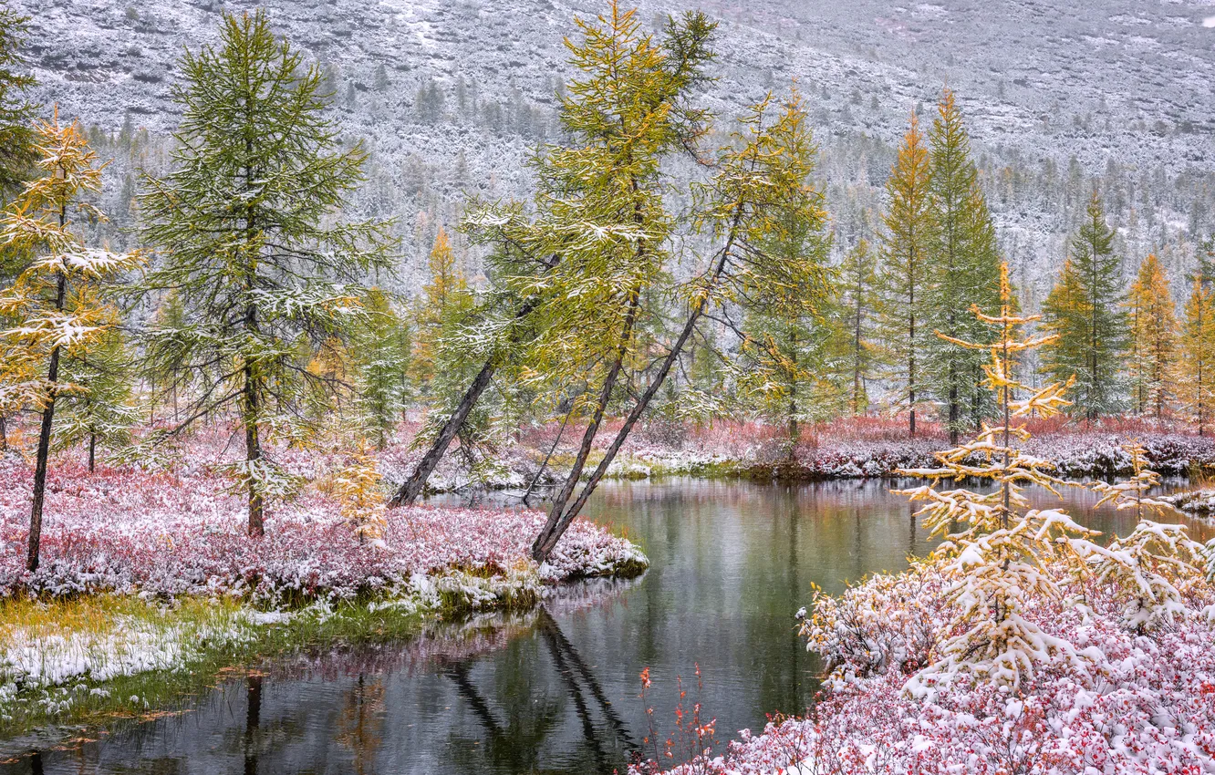 Photo wallpaper autumn, landscape, stream, Kolyma, Maxim Evdokimov