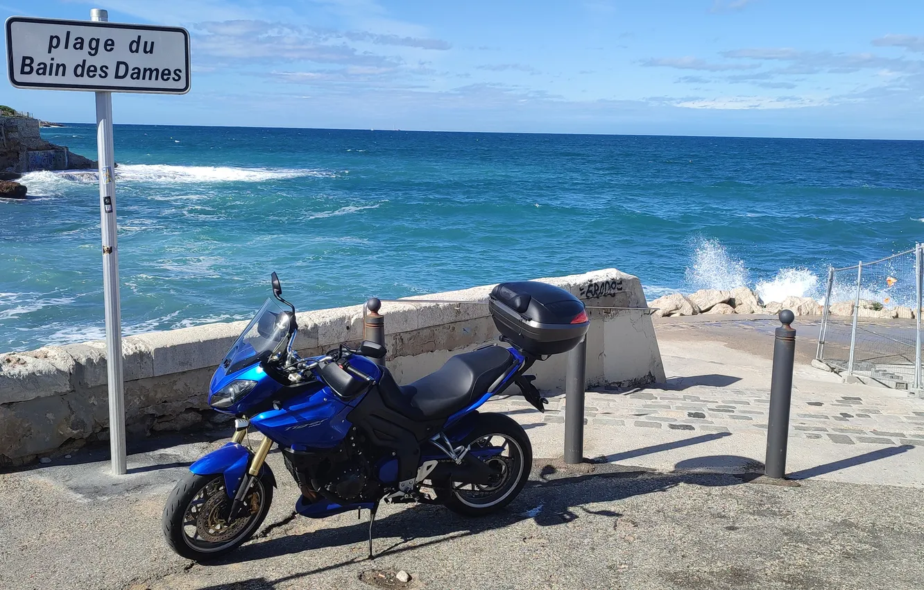 Photo wallpaper tiger, Triumph, Marseille, 1050