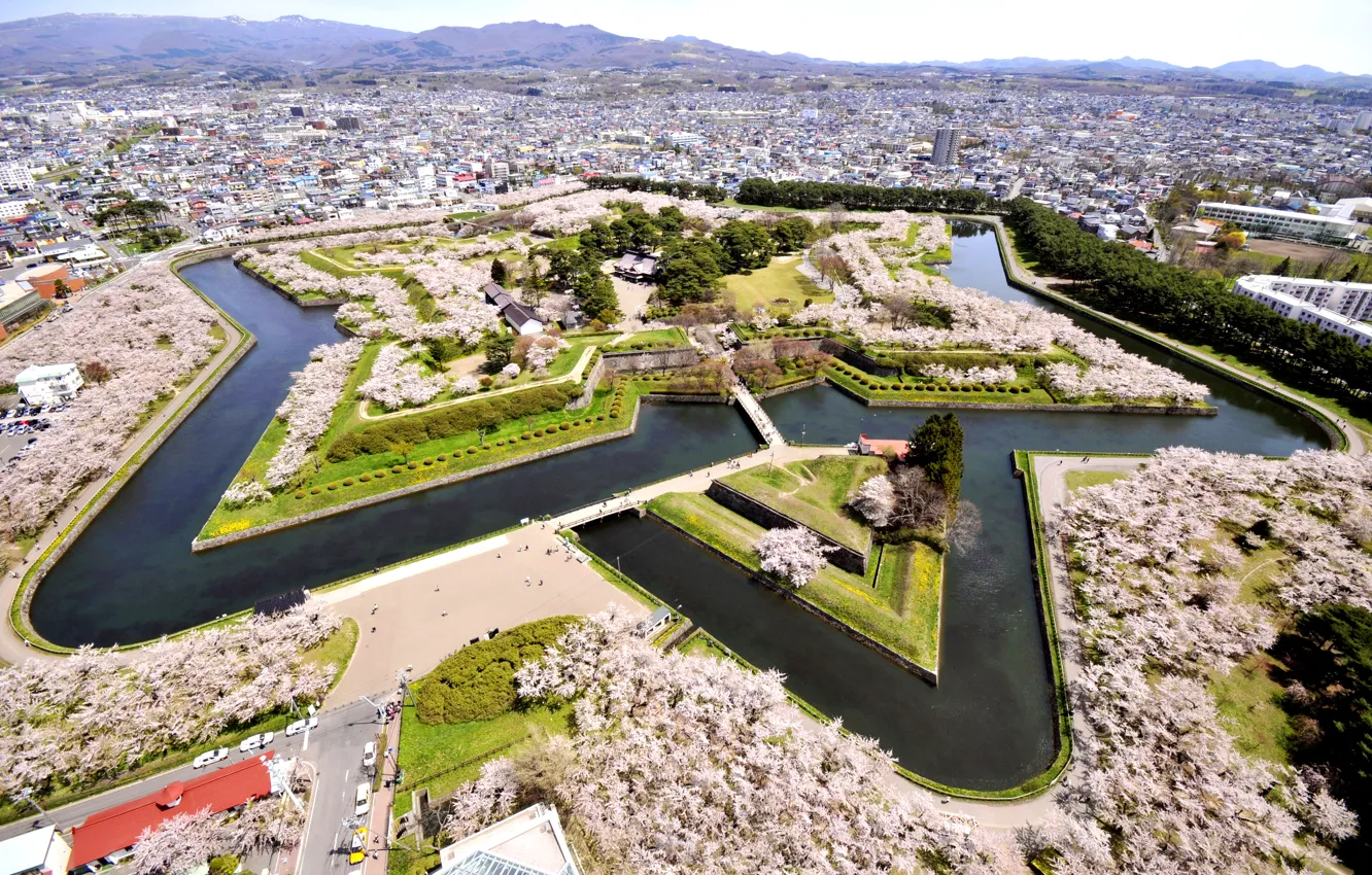 Photo wallpaper design, Park, Japan, panorama, channel, Hakodate, Goryokaku Park