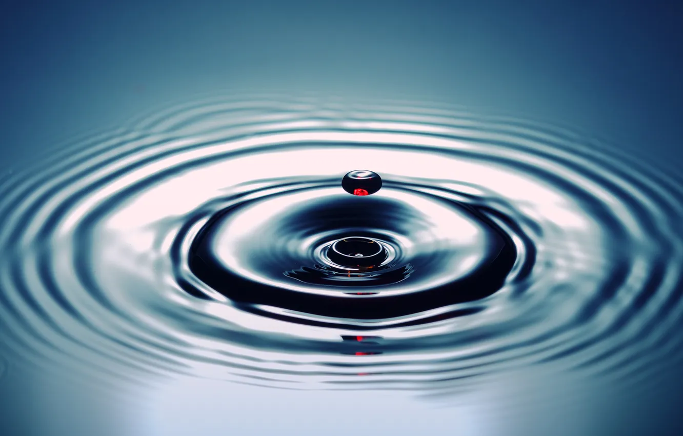 Photo wallpaper water, drops, macro, photo, Wallpaper