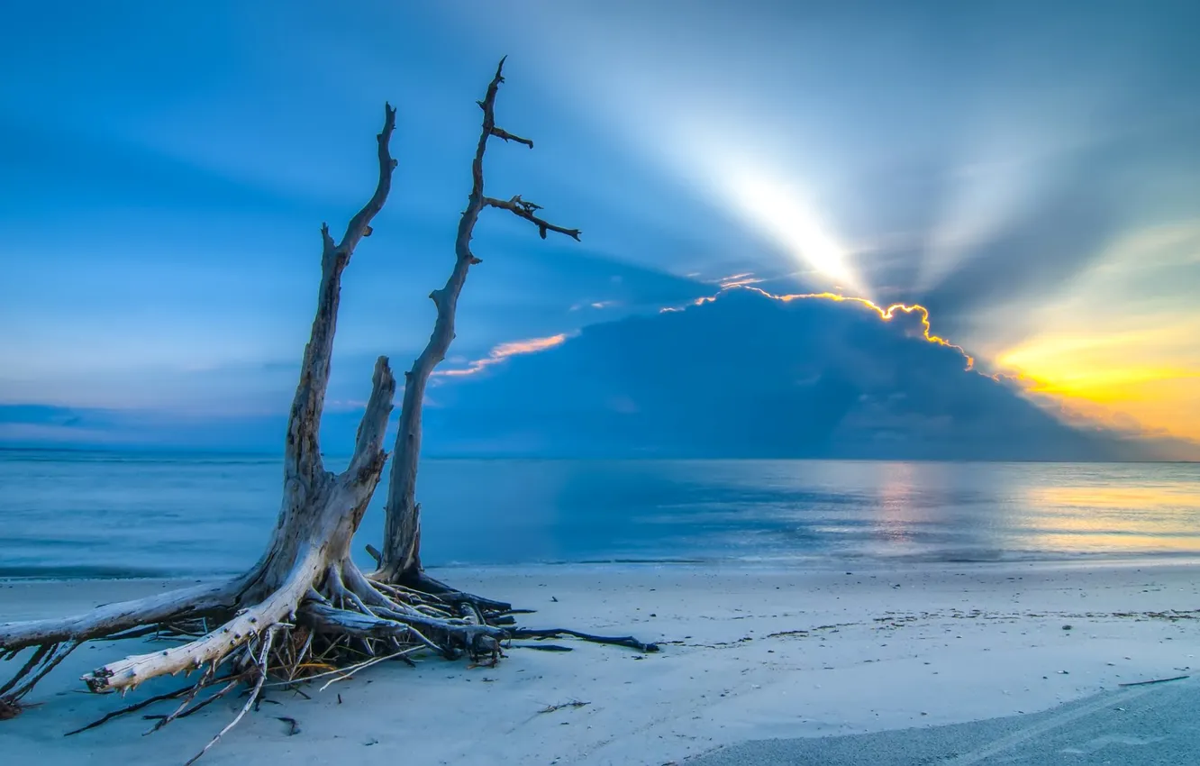 Photo wallpaper sand, sea, the sky, clouds, sunset, shore, snag