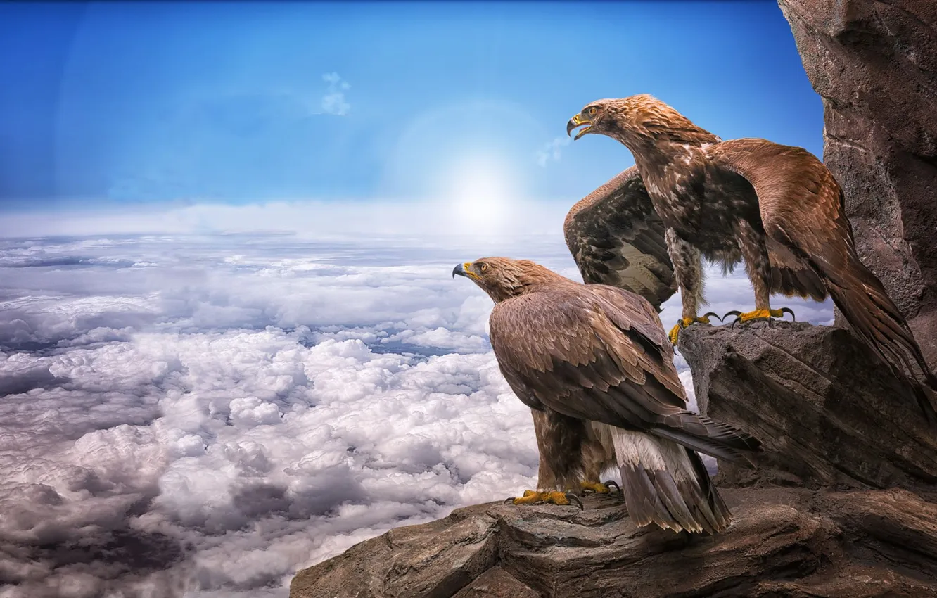 Photo wallpaper rock, birds, eagles