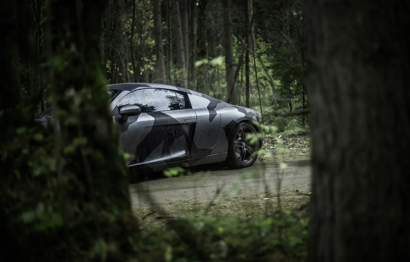 Photo wallpaper car, machine, auto, forest, fog, rain, Audi, audi