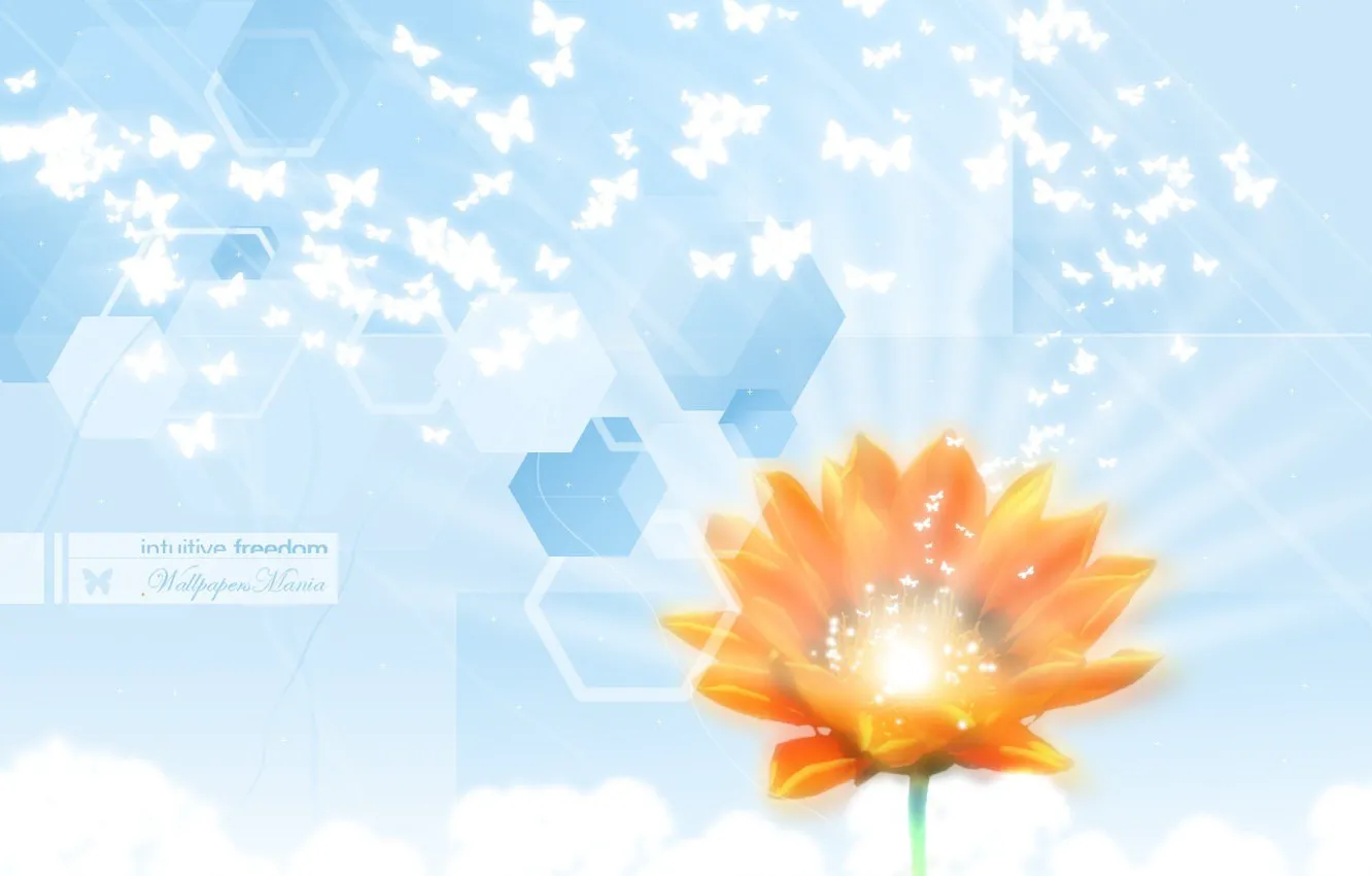 Photo wallpaper lchost, light, flowers, purity, mosaic, butterfly