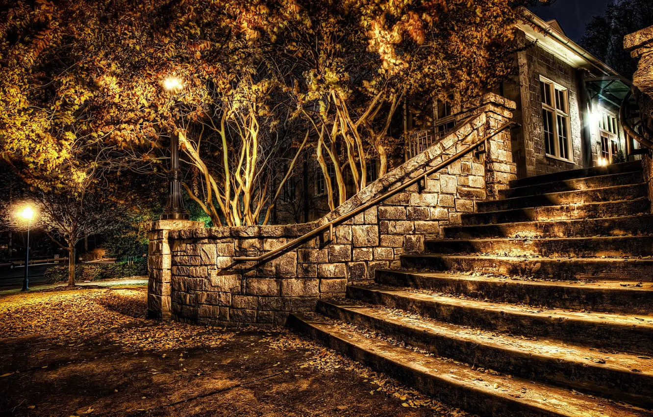 Photo wallpaper the city, home, the evening, lights, ladder, stage