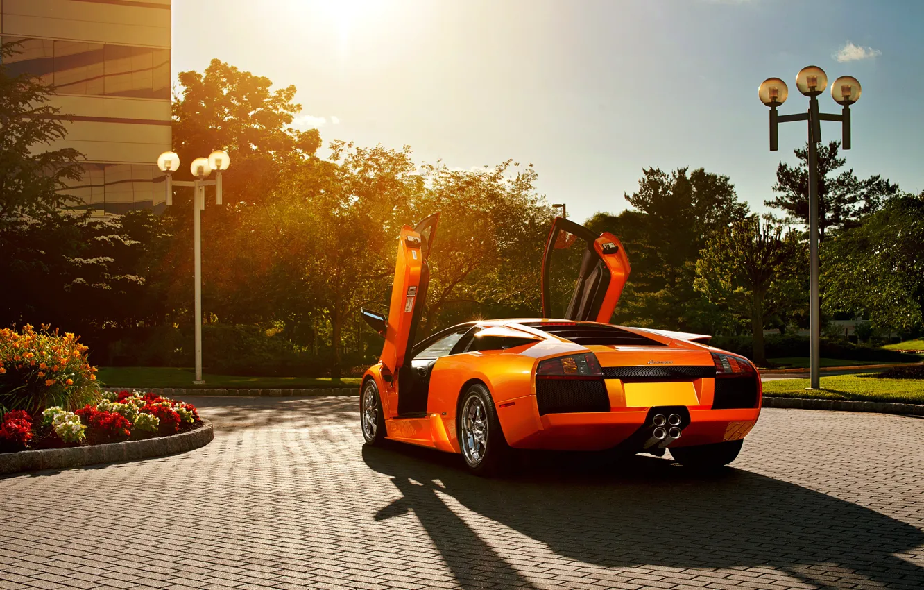 Photo wallpaper flowers, orange, Lamborghini, pavers, Blik, Lamborghini, Murcielago, open doors