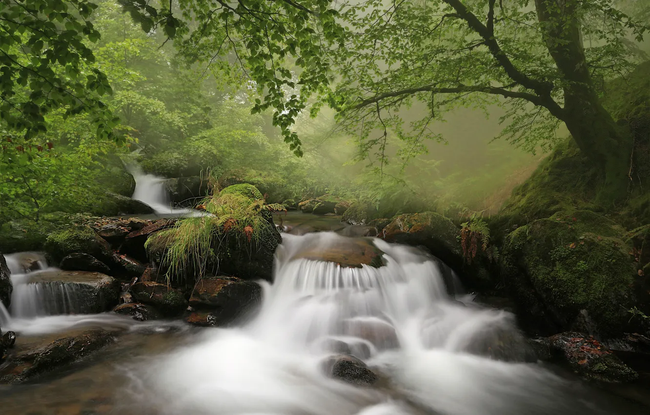 Photo wallpaper forest, stream, stones, waterfall, river, Spain, cascade, Spain