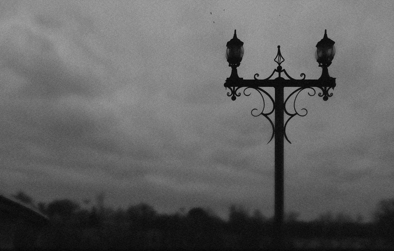 Photo wallpaper the sky, night, Park, Gothic, lights, black, Nigt