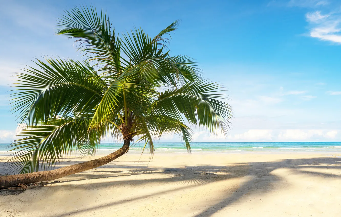 Photo wallpaper sand, sea, wave, beach, summer, the sky, palm trees, shore