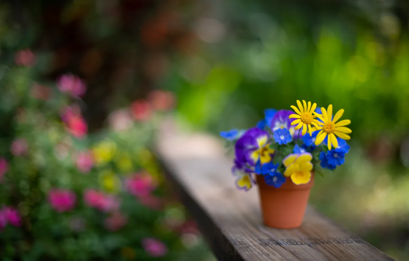Photo wallpaper flowers, blur, different, a bunch
