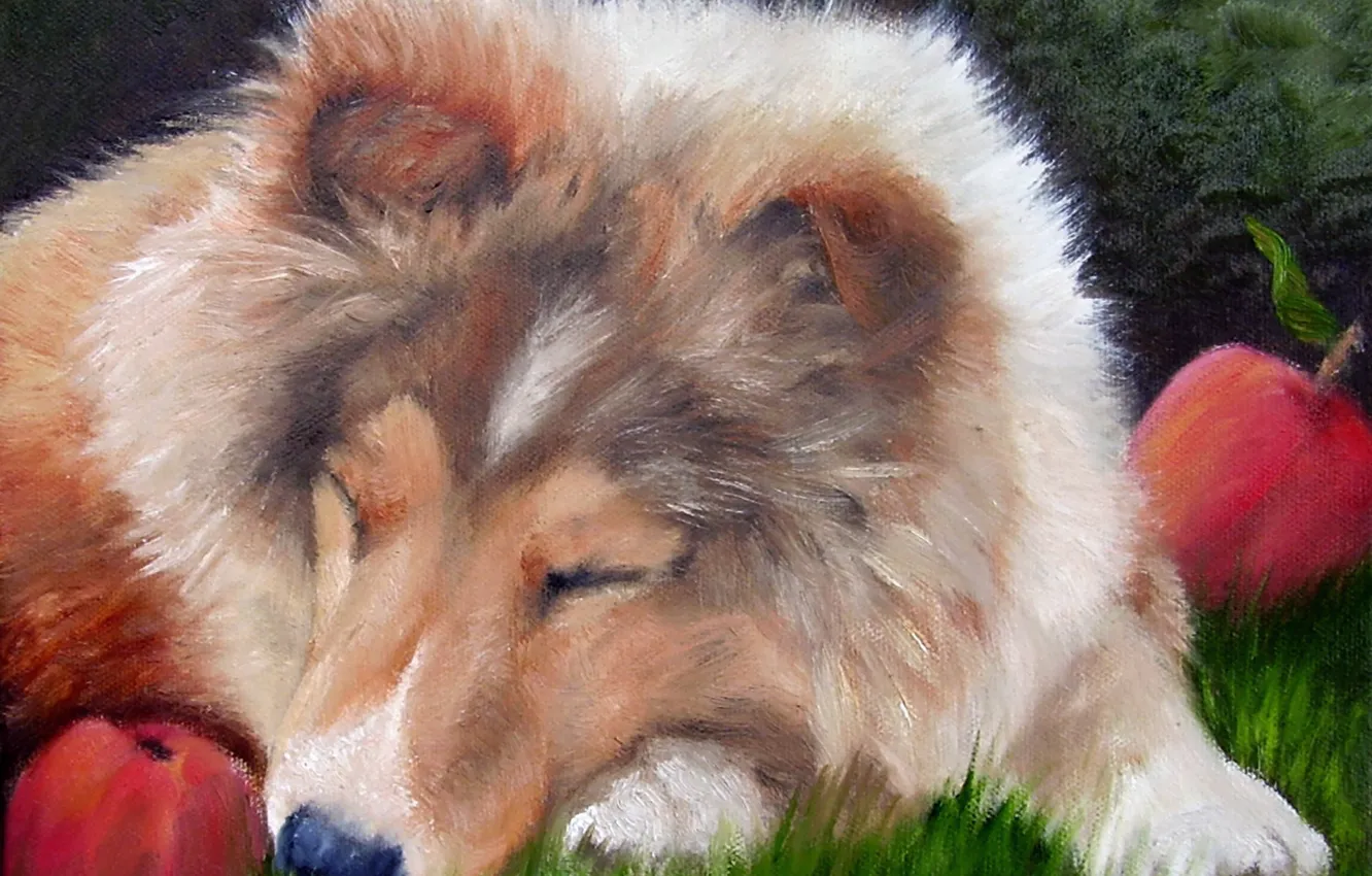 Photo wallpaper look, pose, oil, portrait, dog, painting, face, canvas